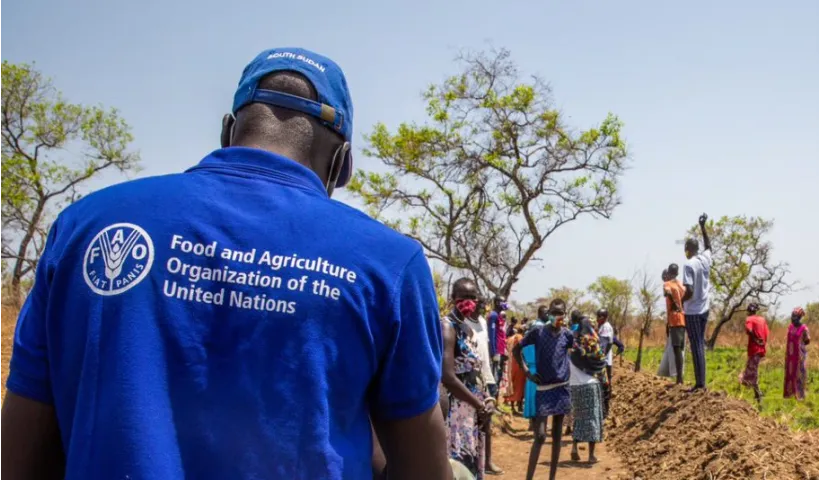 Food and Agriculture Organization