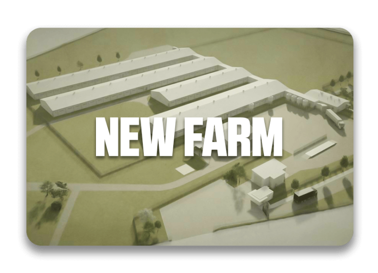 new-farm