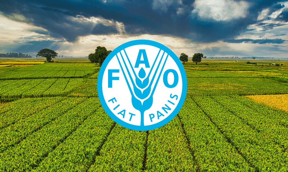 FAO