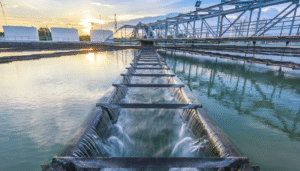 Water Dysinfection