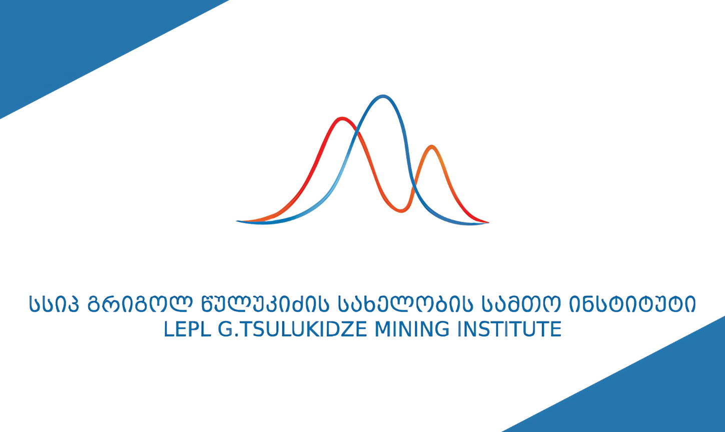 VORTEX Water Engineering customer: tsulukidze_mining_institute.png